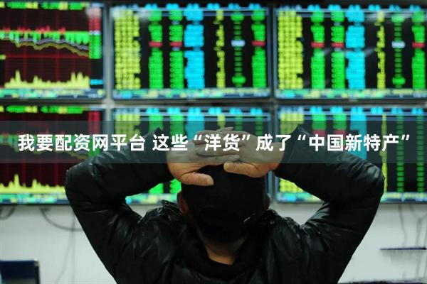 我要配资网平台 这些“洋货”成了“中国新特产”