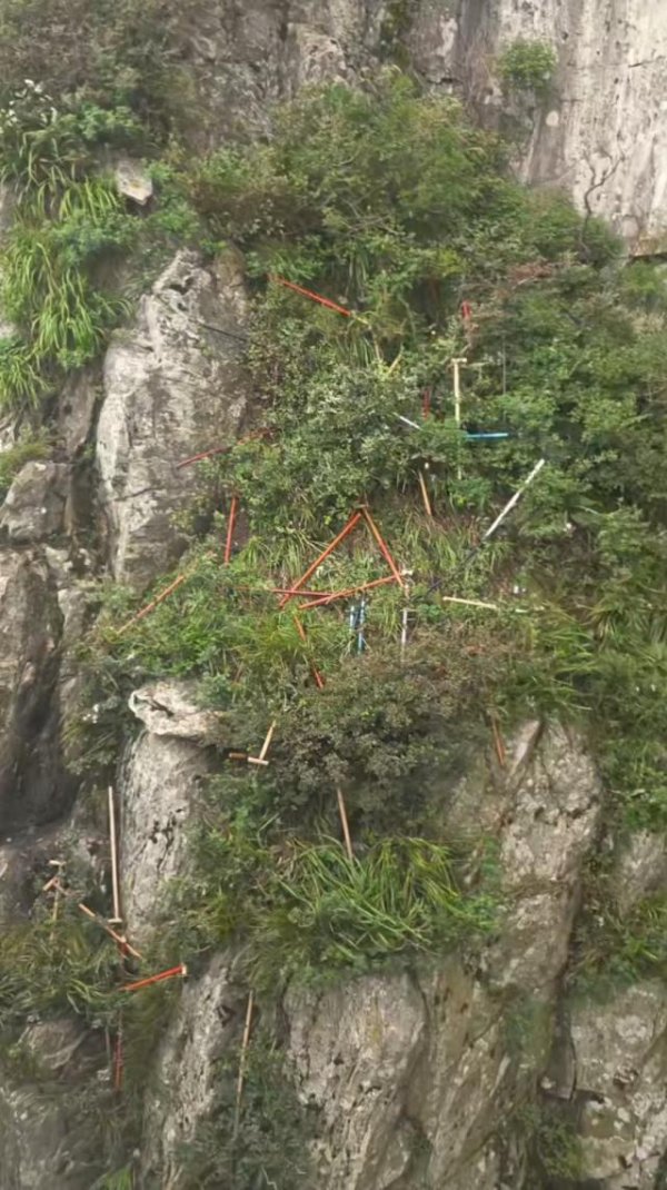 360配资 有没有想过谁收拾？”泰山景区多处可见被丢弃登山杖，悬崖下也有！
