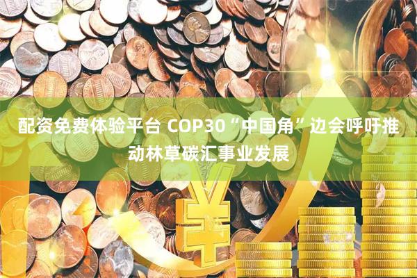 配资免费体验平台 COP30“中国角”边会呼吁推动林草碳汇事业发展