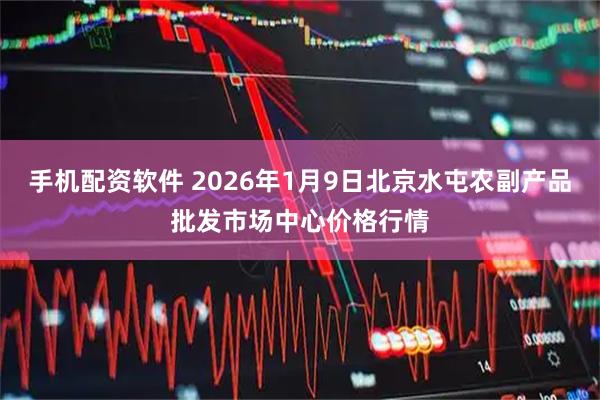 手机配资软件 2026年1月9日北京水屯农副产品批发市场中心价格行情